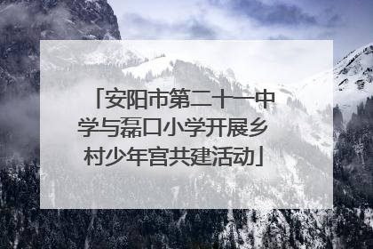 安阳市第二十一中学与磊口小学开展乡村少年宫共建活动
