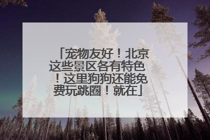 宠物友好！北京这些景区各有特色！这里狗狗还能免费玩跳圈！就在