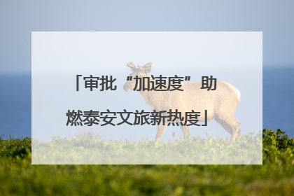 审批“加速度”助燃泰安文旅新热度