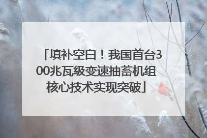 填补空白！我国首台300兆瓦级变速抽蓄机组核心技术实现突破