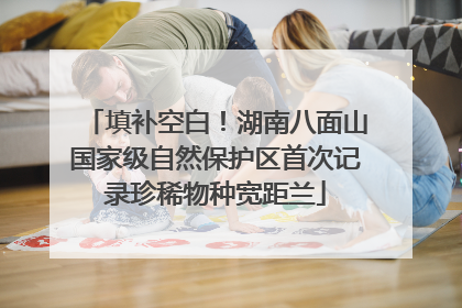 填补空白！湖南八面山国家级自然保护区首次记录珍稀物种宽距兰