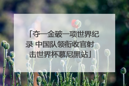 夺一金破一项世界纪录 中国队领衔收官射击世界杯慕尼黑站