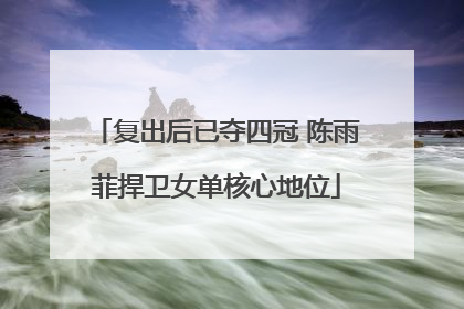 复出后已夺四冠 陈雨菲捍卫女单核心地位