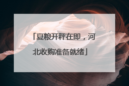 夏粮开秤在即,河北收购准备就绪