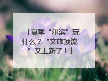 夏季“尔滨”玩什么？“文旅顶流”又上新了！