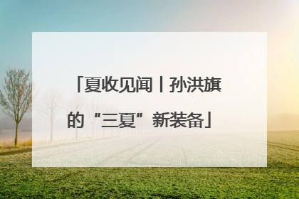 夏收见闻丨孙洪旗的“三夏”新装备
