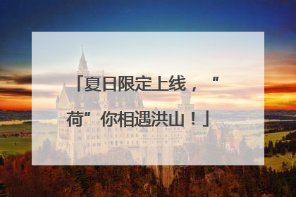 夏日限定上线，“荷”你相遇洪山！