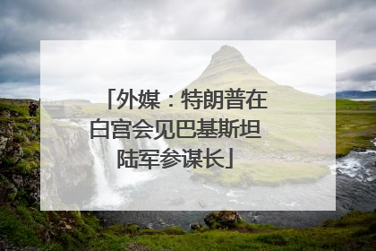 外媒：特朗普在白宫会见巴基斯坦陆军参谋长
