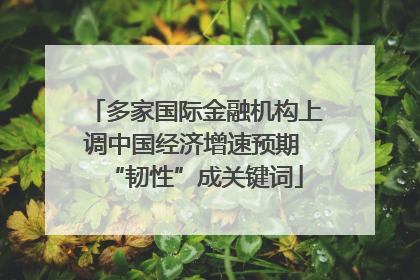 多家国际金融机构上调中国经济增速预期 “韧性”成关键词