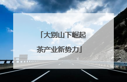 大别山下崛起茶产业新势力