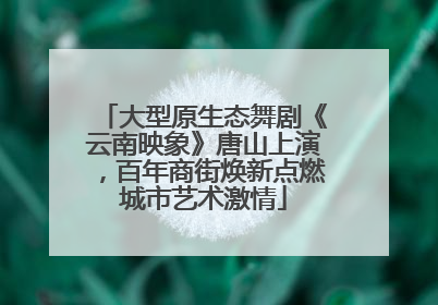 大型原生态舞剧《云南映象》唐山上演，百年商街焕新点燃城市艺术激情