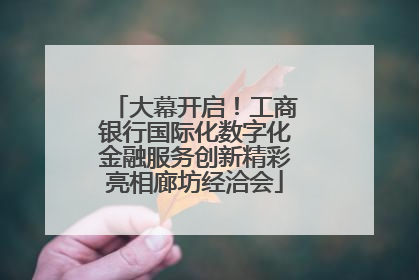 大幕开启！工商银行国际化数字化金融服务创新精彩亮相廊坊经洽会