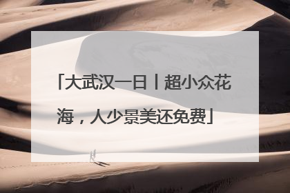 大武汉一日丨超小众花海，人少景美还免费