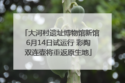 大河村遗址博物馆新馆6月14日试运行 彩陶双连壶将重返原生地