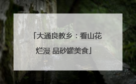 大通良教乡：看山花烂漫 品砂罐美食