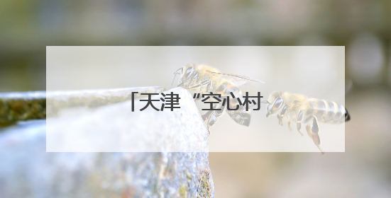 天津“空心村”焕发新活力