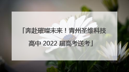 奔赴璀璨未来！青州圣维科技高中 2022 届高考送考