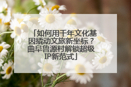 如何用千年文化基因撬动文旅新坐标？曲阜鲁源村解锁超级IP新范式