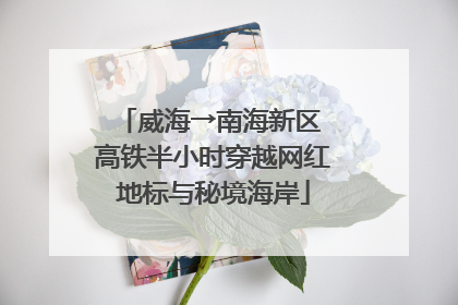 威海→南海新区 高铁半小时穿越网红地标与秘境海岸