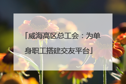 威海高区总工会：为单身职工搭建交友平台