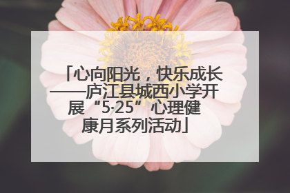 心向阳光，快乐成长——庐江县城西小学开展“5·25”心理健康月系列活动