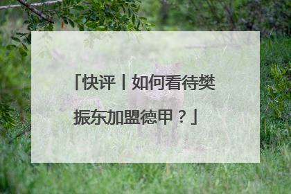 快评丨如何看待樊振东加盟德甲？