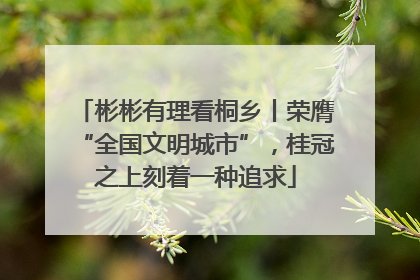 彬彬有理看桐乡丨荣膺“全国文明城市”，桂冠之上刻着一种追求