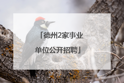 德州2家事业单位公开招聘
