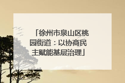徐州市泉山区桃园街道：以协商民主赋能基层治理