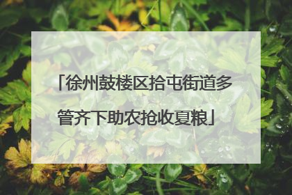 徐州鼓楼区拾屯街道多管齐下助农抢收夏粮