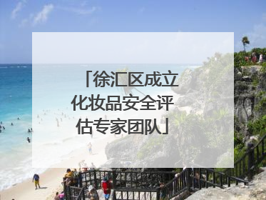 徐汇区成立化妆品安全评估专家团队