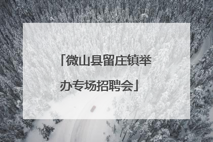 微山县留庄镇举办专场招聘会