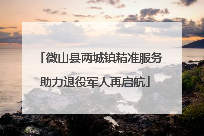 微山县两城镇精准服务助力退役军人再启航