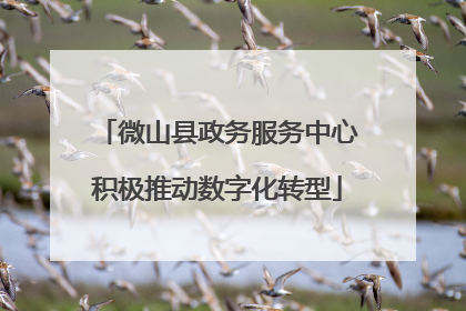 微山县政务服务中心积极推动数字化转型