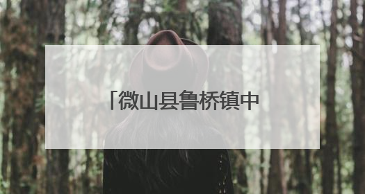 微山县鲁桥镇中心幼儿园举办“与‘粽’不同的六一”双节主题活动