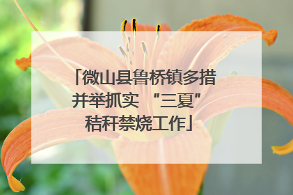 微山县鲁桥镇多措并举抓实 “三夏” 秸秆禁烧工作
