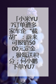 小米YU7订单遭多家车企“截胡”：蔚来可报销5000元定金，极氪送积分；何小鹏下单YU7，喊话雷军早点交付