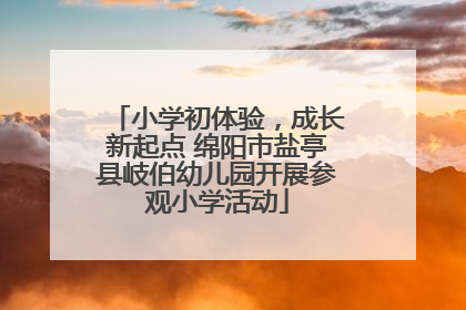 小学初体验，成长新起点 绵阳市盐亭县岐伯幼儿园开展参观小学活动