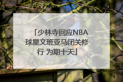 少林寺回应NBA球星文班亚马闭关修行 为期十天