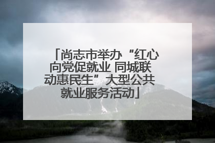 尚志市举办“红心向党促就业 同城联动惠民生”大型公共就业服务活动