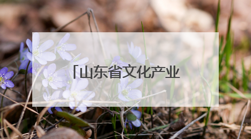山东省文化产业发展协会赴山东文化产业职业学院开展考察交流活动