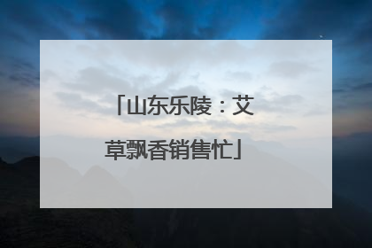 山东乐陵：艾草飘香销售忙