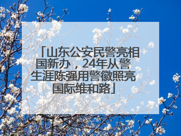 山东公安民警亮相国新办，24年从警生涯陈强用警徽照亮国际维和路