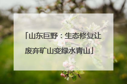 山东巨野：生态修复让废弃矿山变绿水青山