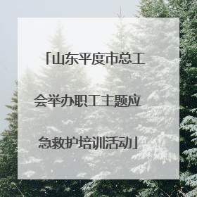 山东平度市总工会举办职工主题应急救护培训活动