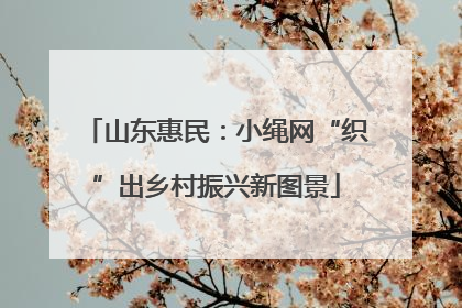 山东惠民：小绳网“织”出乡村振兴新图景