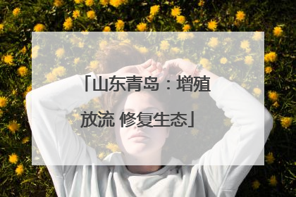 山东青岛：增殖放流 修复生态