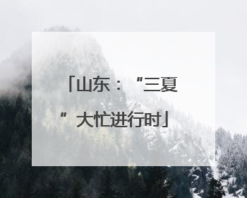 山东：“三夏”大忙进行时
