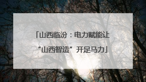 山西临汾：电力赋能让“山西智造”开足马力