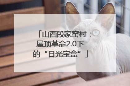 山西段家窑村：屋顶革命2.0下的“日光宝盒”